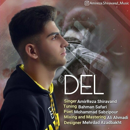 امیررضا شیراوند دل